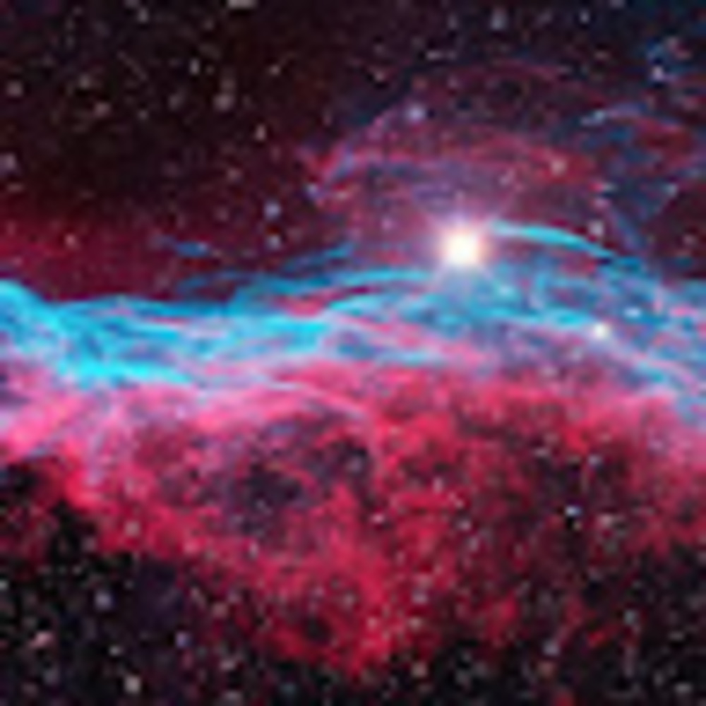 Meet your Posher, Braden